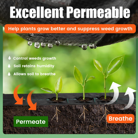 GRASSCLUB weed barrier on a garden path demonstrates effective weed suppression