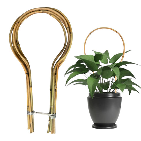 Grassen bamboo round trellis 16in helps support climbing vines in pots.
