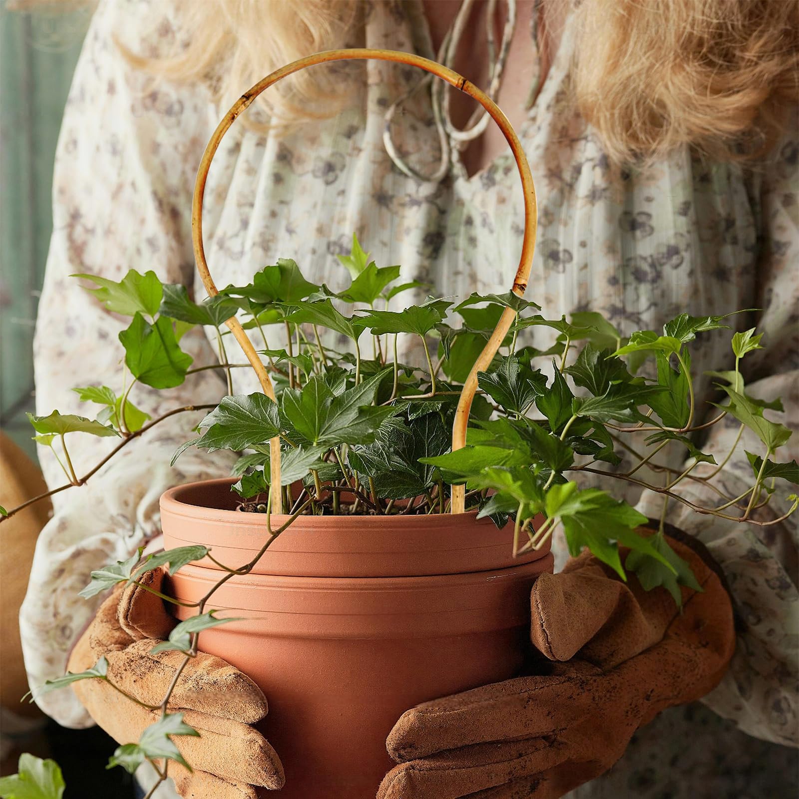 Grassen plant ties included help secure plants to the trellis.