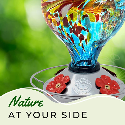 Grateful Gnome circular perch gives hummingbirds a comfortable rest