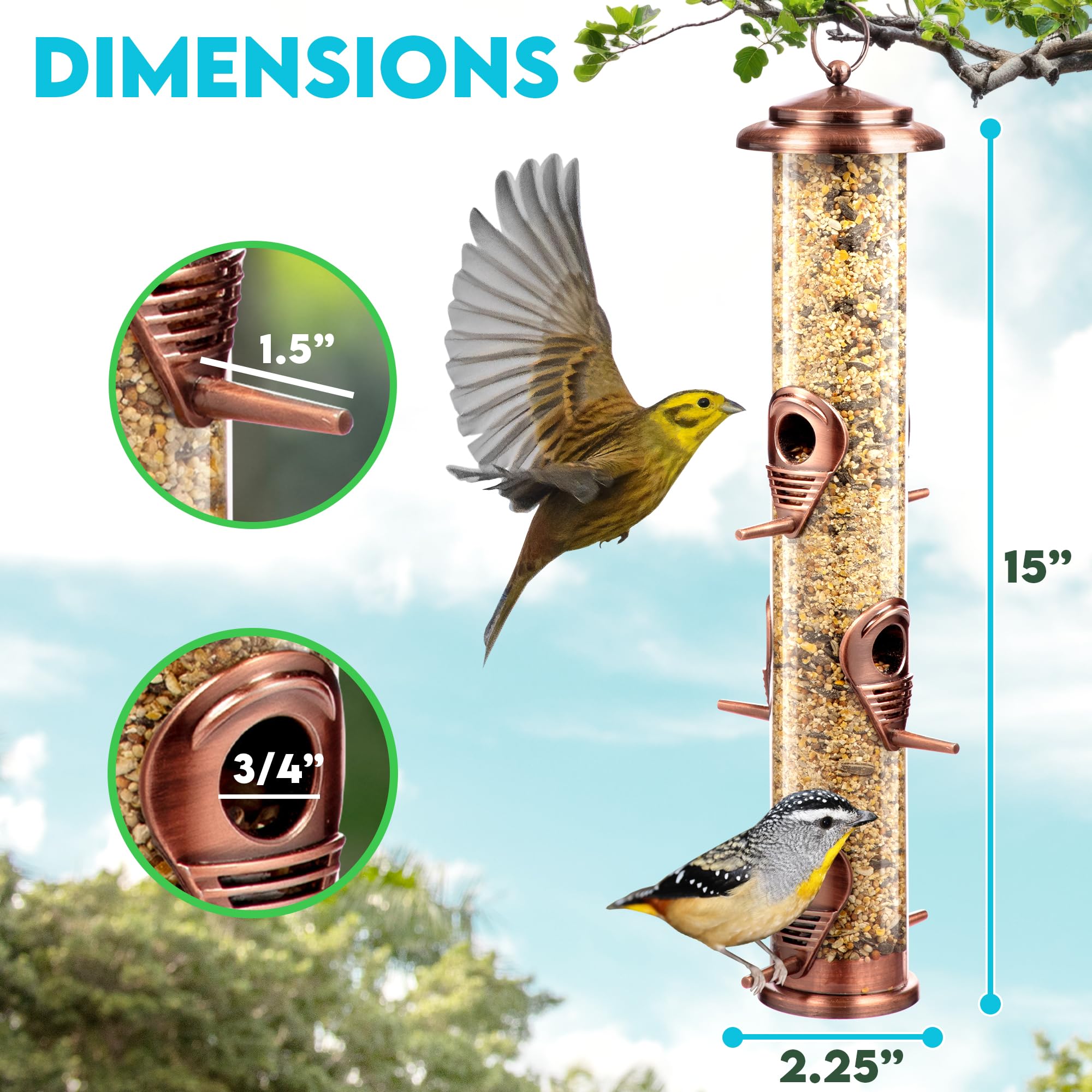 Hanging design with adjustable perch enhances bird viewing