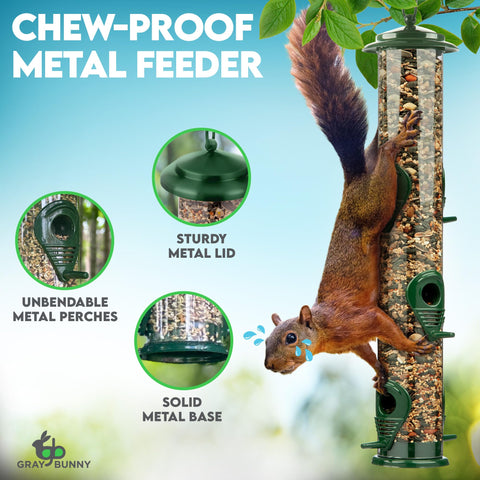 Gray Bunny clear seed tube lets you monitor levels at a glance