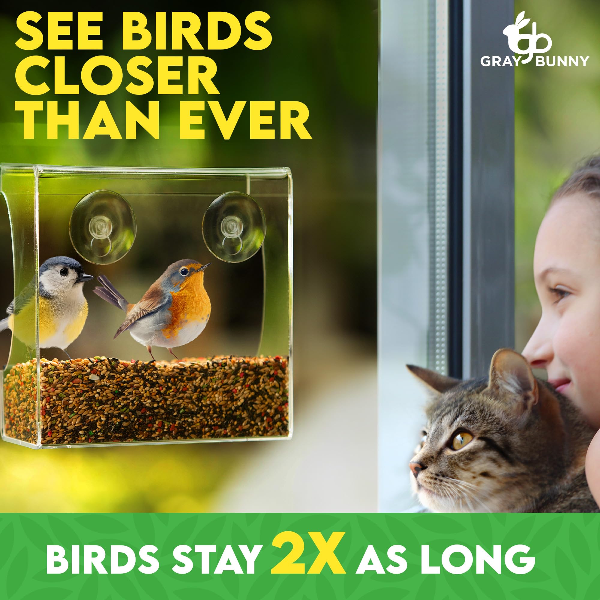 Gray Bunny Clear Window Feeder features strong suction cups for secure glass mounting.