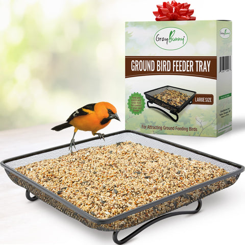 Gray Bunny ground bird feeder tray with steel mesh for mess-free feeding