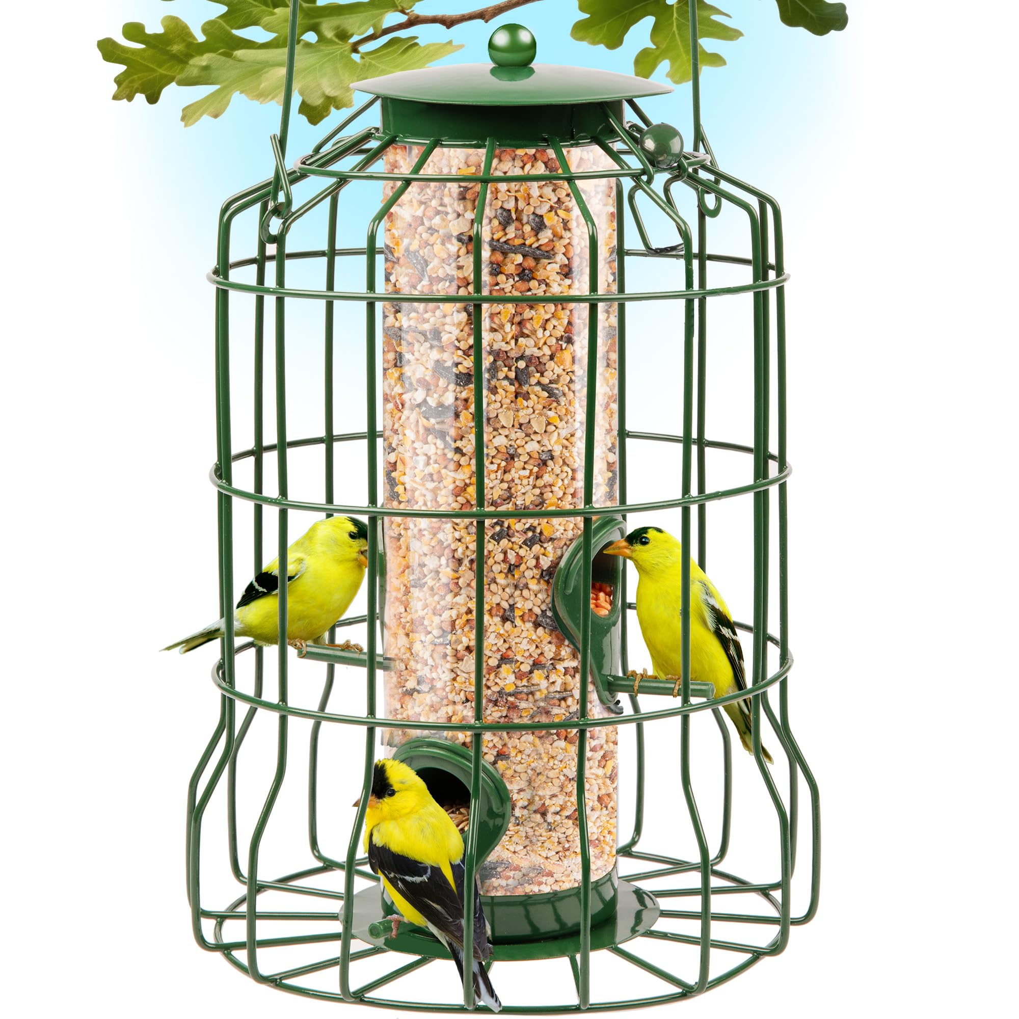 Gray Bunny squirrel-proof feeder outdoors in green finish, weather resistant.