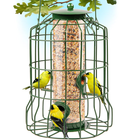Gray Bunny squirrel-proof feeder outdoors in green finish, weather resistant.