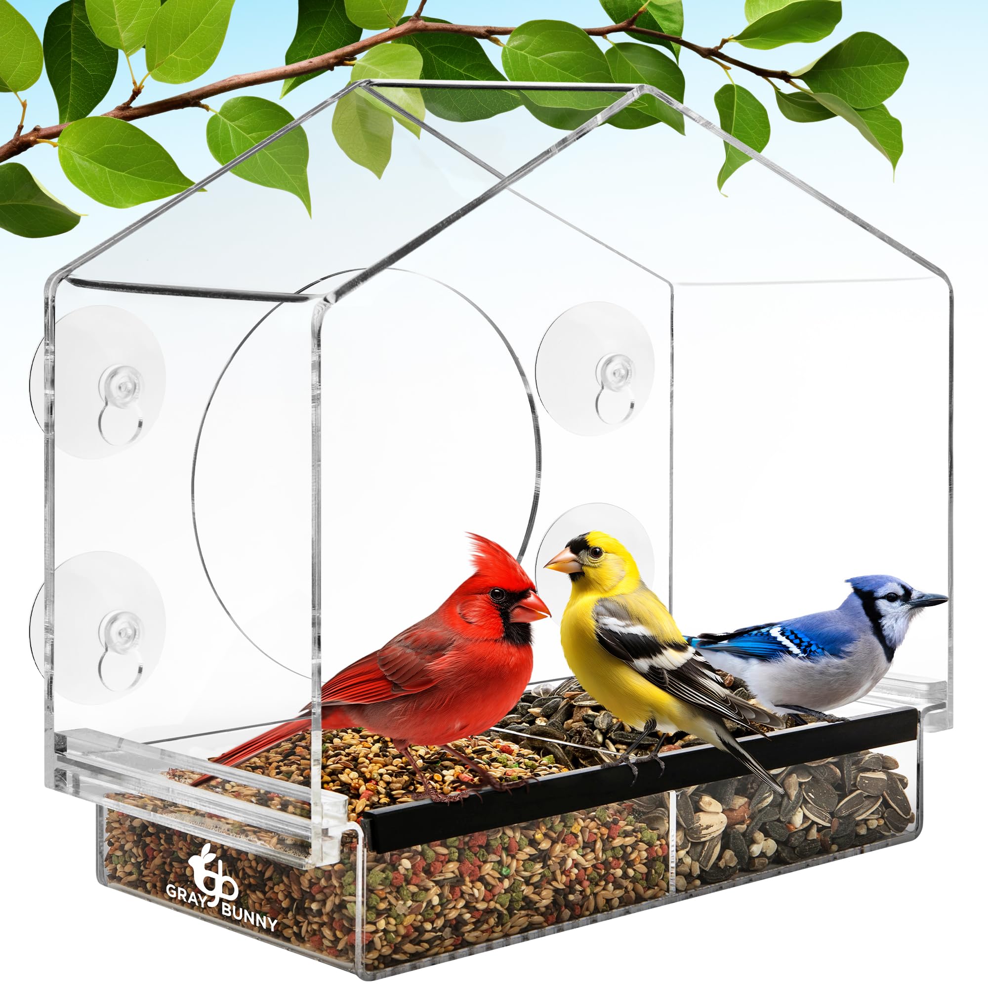 Gray Bunny window bird feeder with suction cups securely attached for a stable setup
