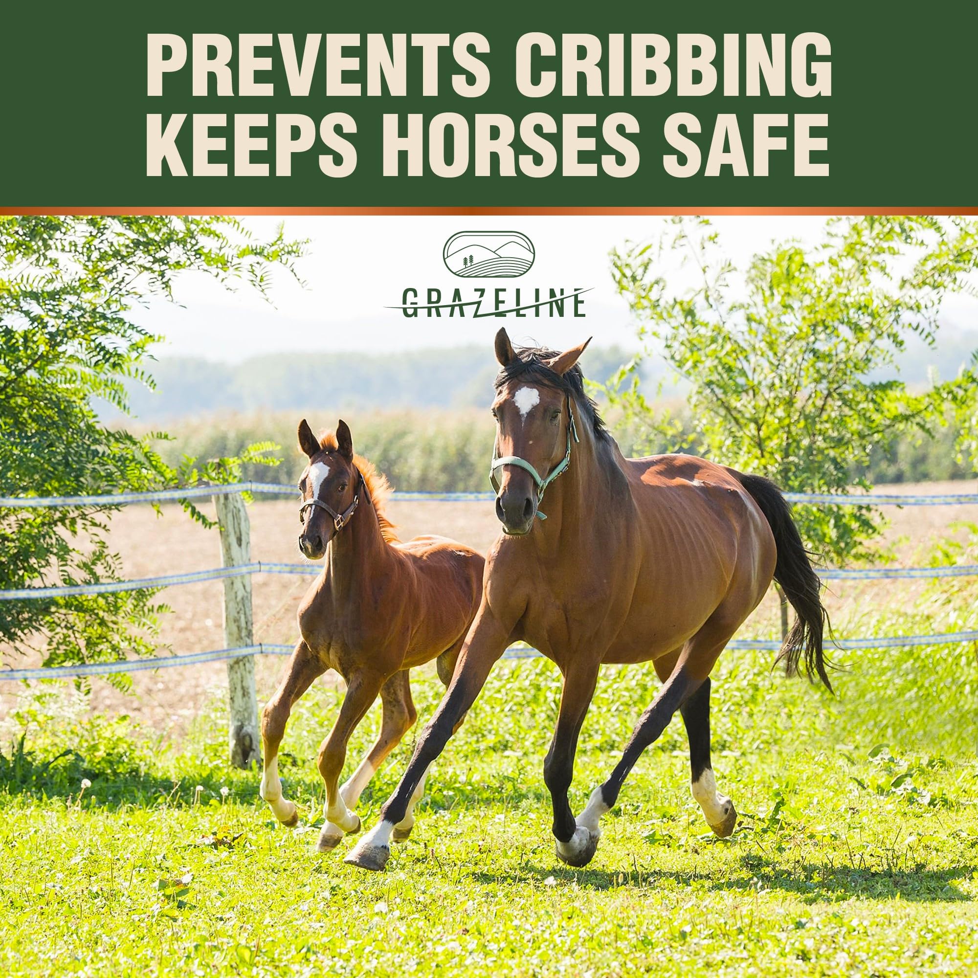 Grazeline fence tape in use around a safe, horse-friendly boundary