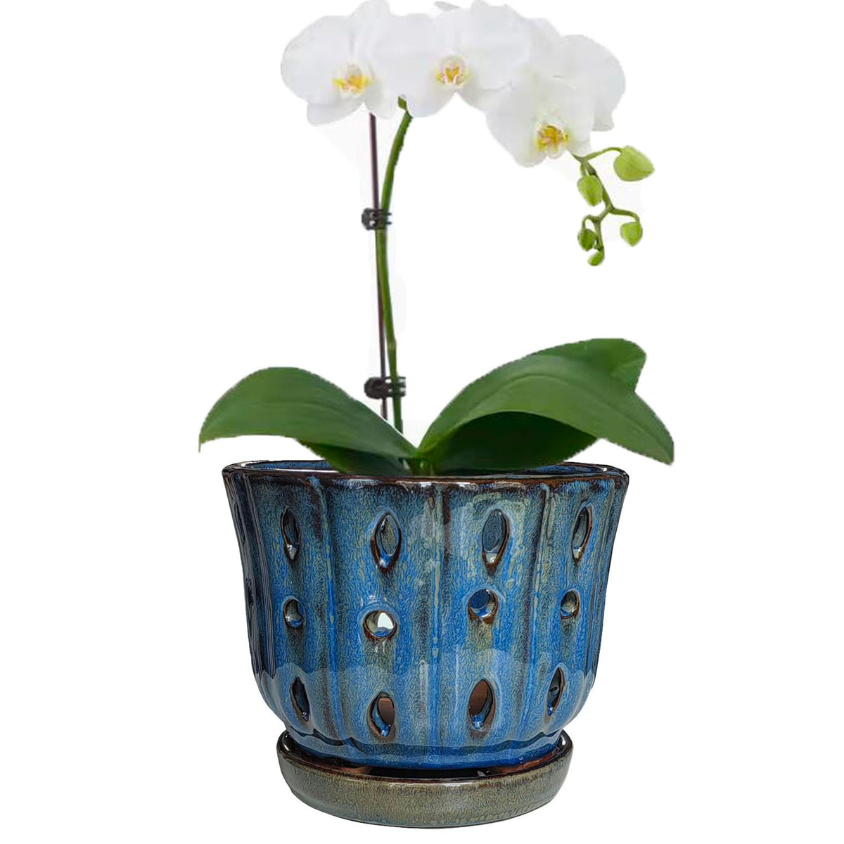 Grdthzey 6-inch round ceramic orchid pot in dark blue with drainage holes.
