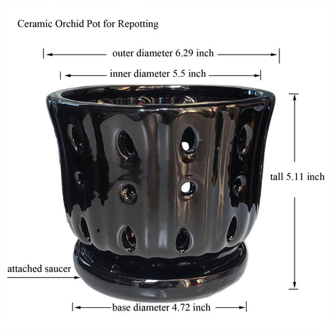 Grdthzey 6-inch ceramic orchid pot ready for a compact indoor arrangement.