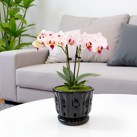 Grdthzey orchid pot featuring aeration holes around the sides.