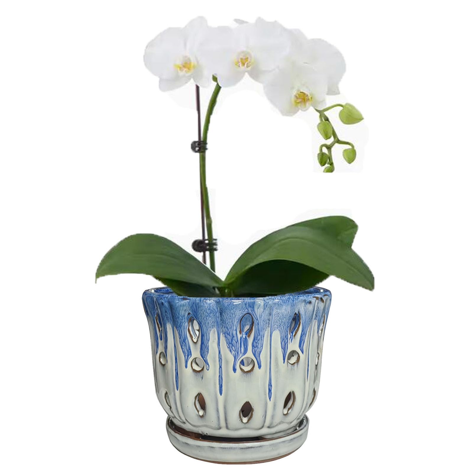 Grdthzey ceramic orchid pot with blue cover and white base for elegant indoor display.