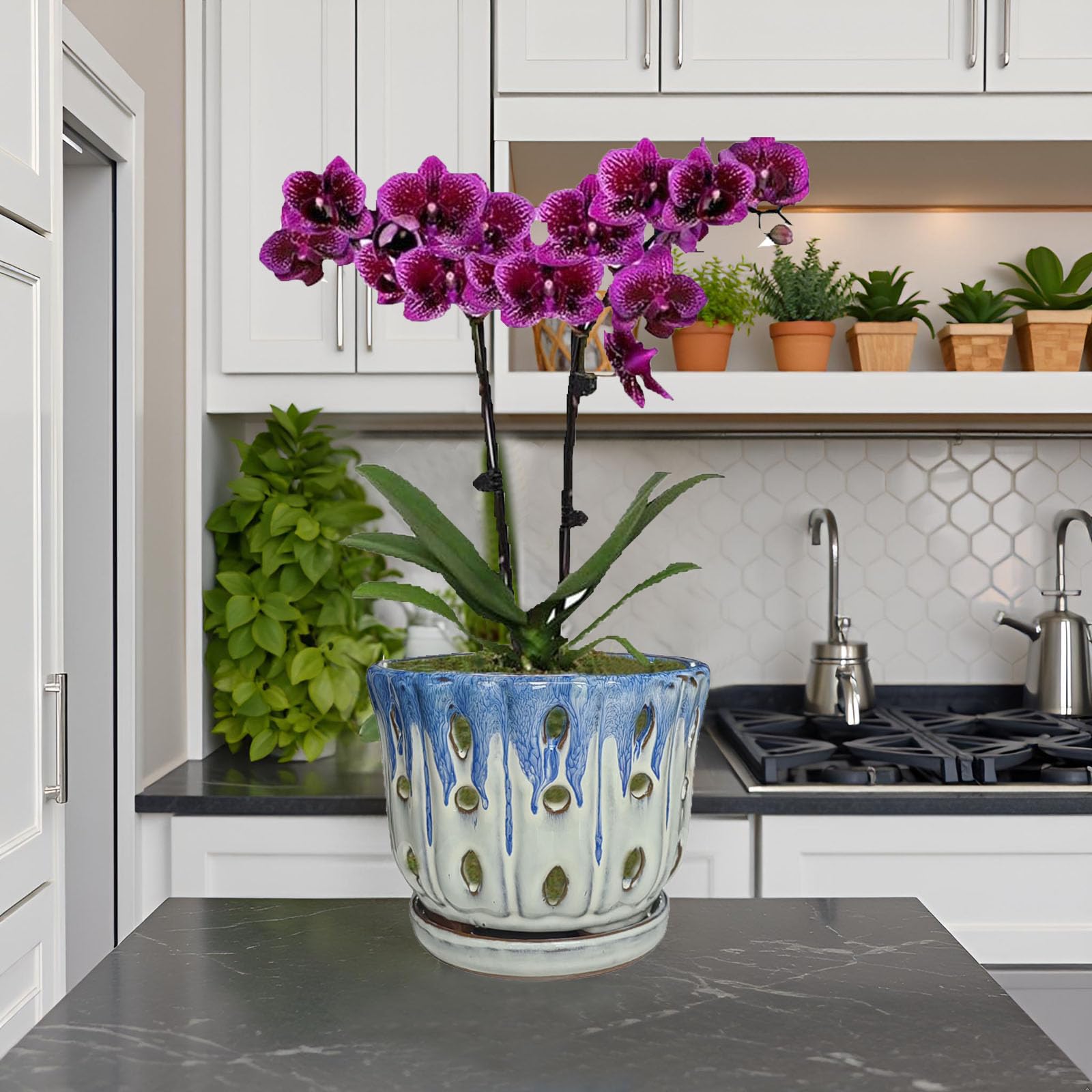 Grdthzey ceramic pot 5-11-in-tall fits compact indoor spaces.