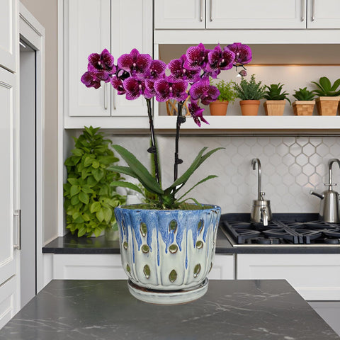 Grdthzey ceramic pot 5-11-in-tall fits compact indoor spaces.