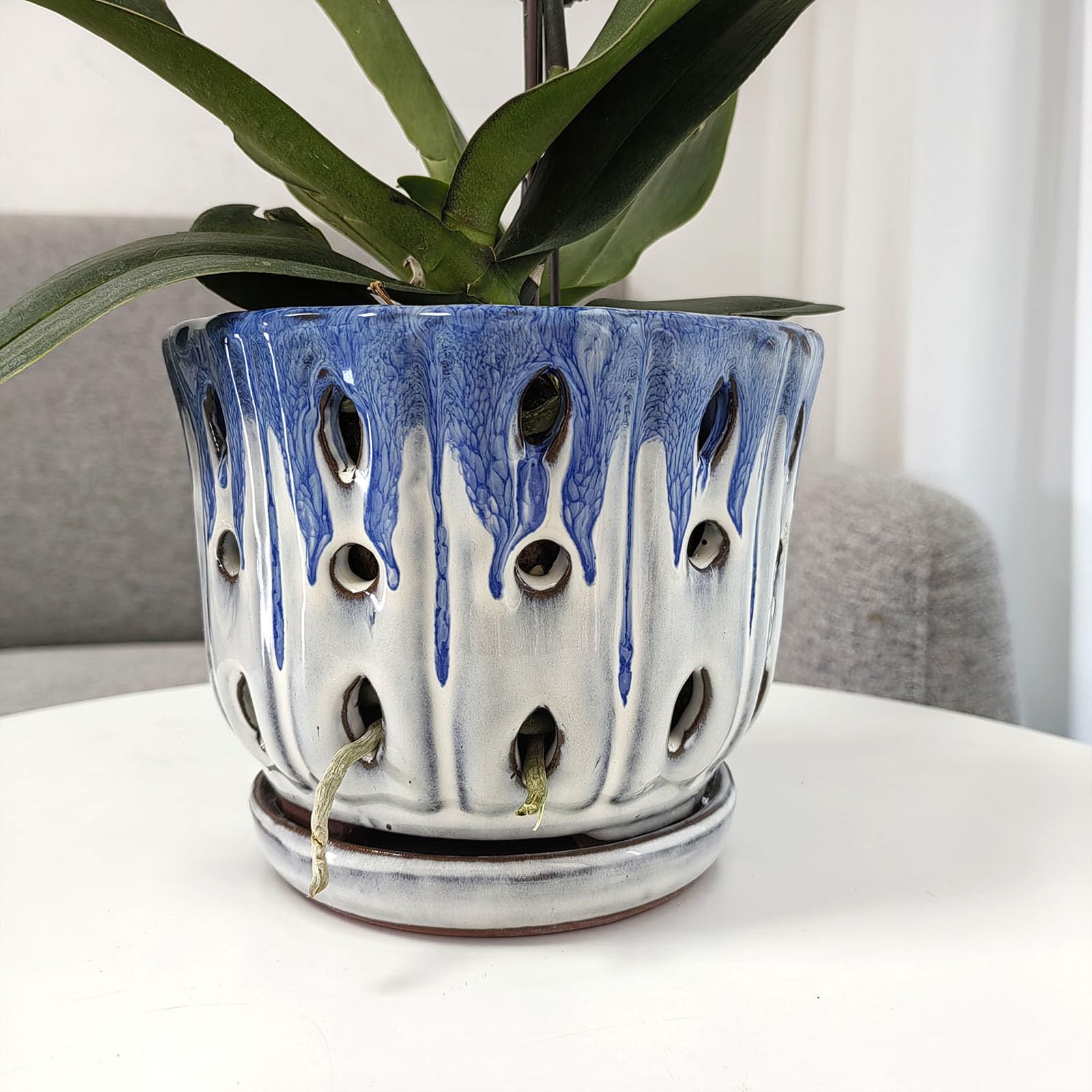Grdthzey ceramic orchid pot shows attached saucer for easy setup.