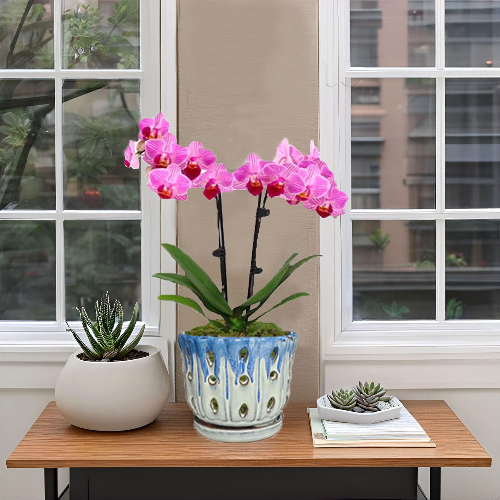 Grdthzey ceramic pot suits sunny ledges and kitchen windows.