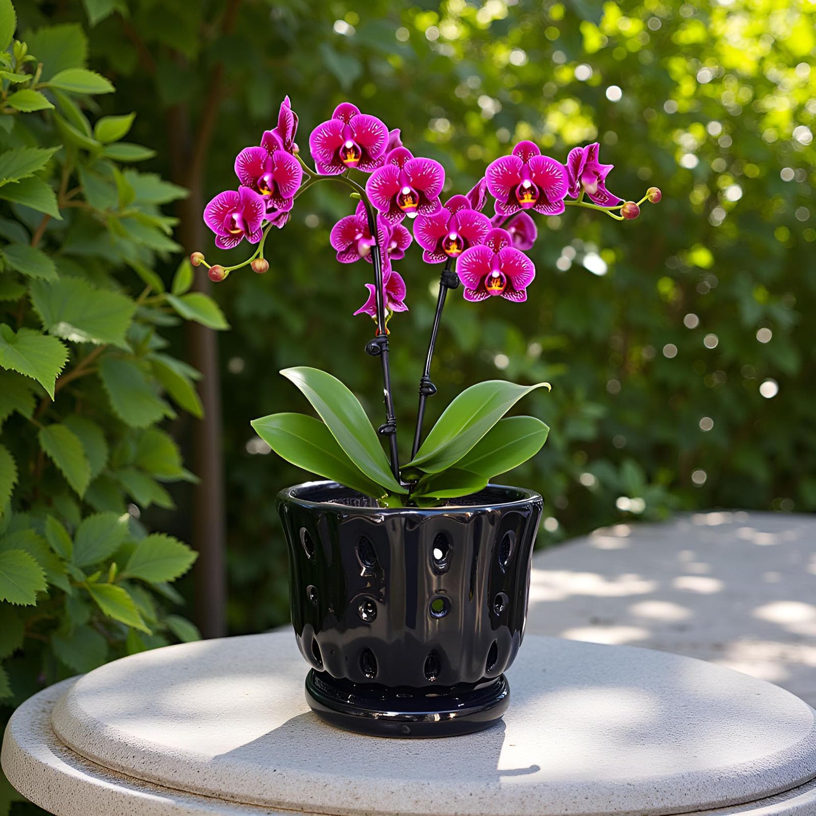 Grdthzey pot ships empty; plant not included for flexible setups.