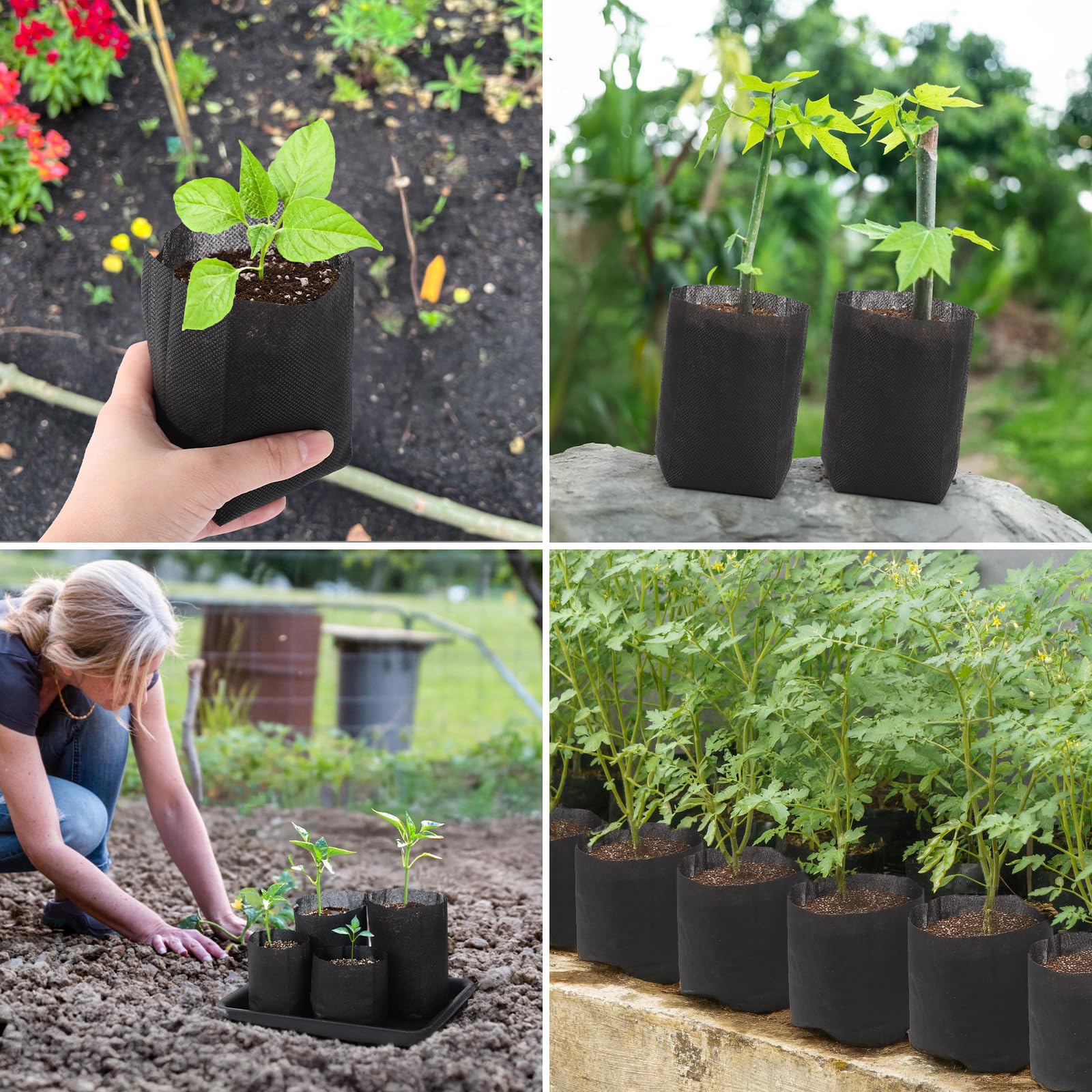 GREANER 100-piece seedling bag pack ready for bulk projects.