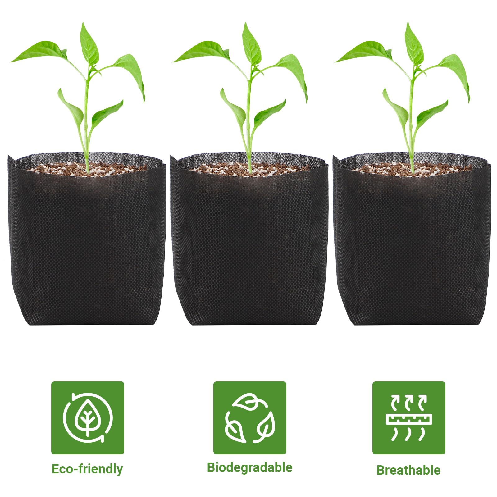 GREANER biodegradable seedling bags are nonwoven and plantable directly into soil.
