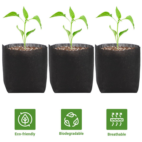 GREANER biodegradable seedling bags are nonwoven and plantable directly into soil.