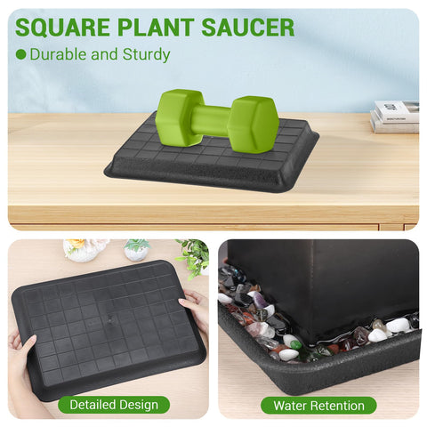 GREANER black plant saucer close-up rim; robust edge designed for long-lasting performance.
