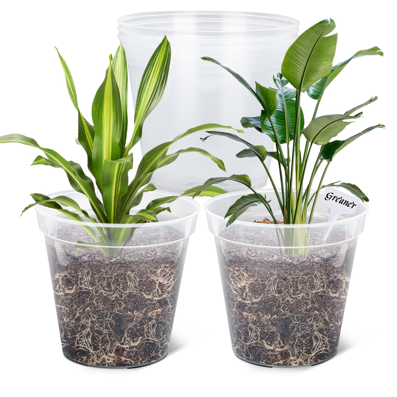GREANER clear plastic 12-inch pot displaying transparent walls for easy root monitoring.
