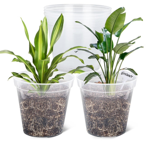 GREANER clear plastic 12-inch pot displaying transparent walls for easy root monitoring.