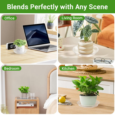 GREANER clear saucers complement decor while catching excess water.