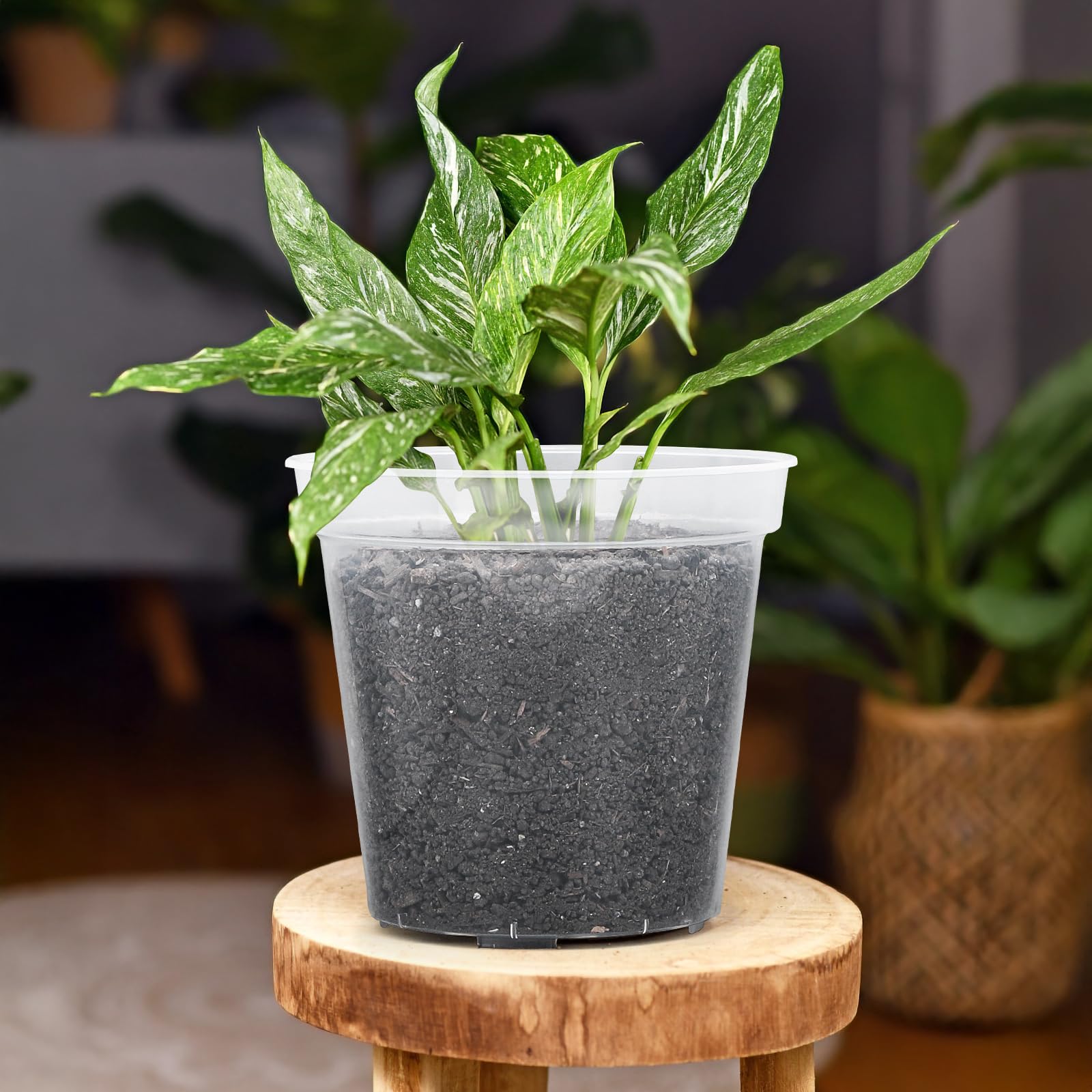 GREANER pots make a thoughtful gift for gardening enthusiasts.
