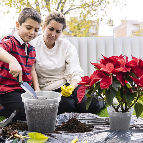 GREANER clear nursery pots suitable for indoor and outdoor gardening.