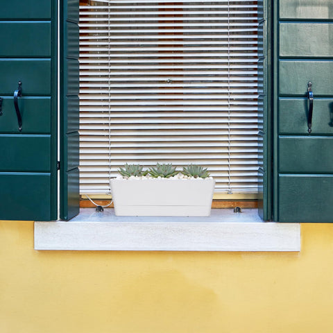 GREANER 16x3.8 inch planter ideal for windowsills and desks