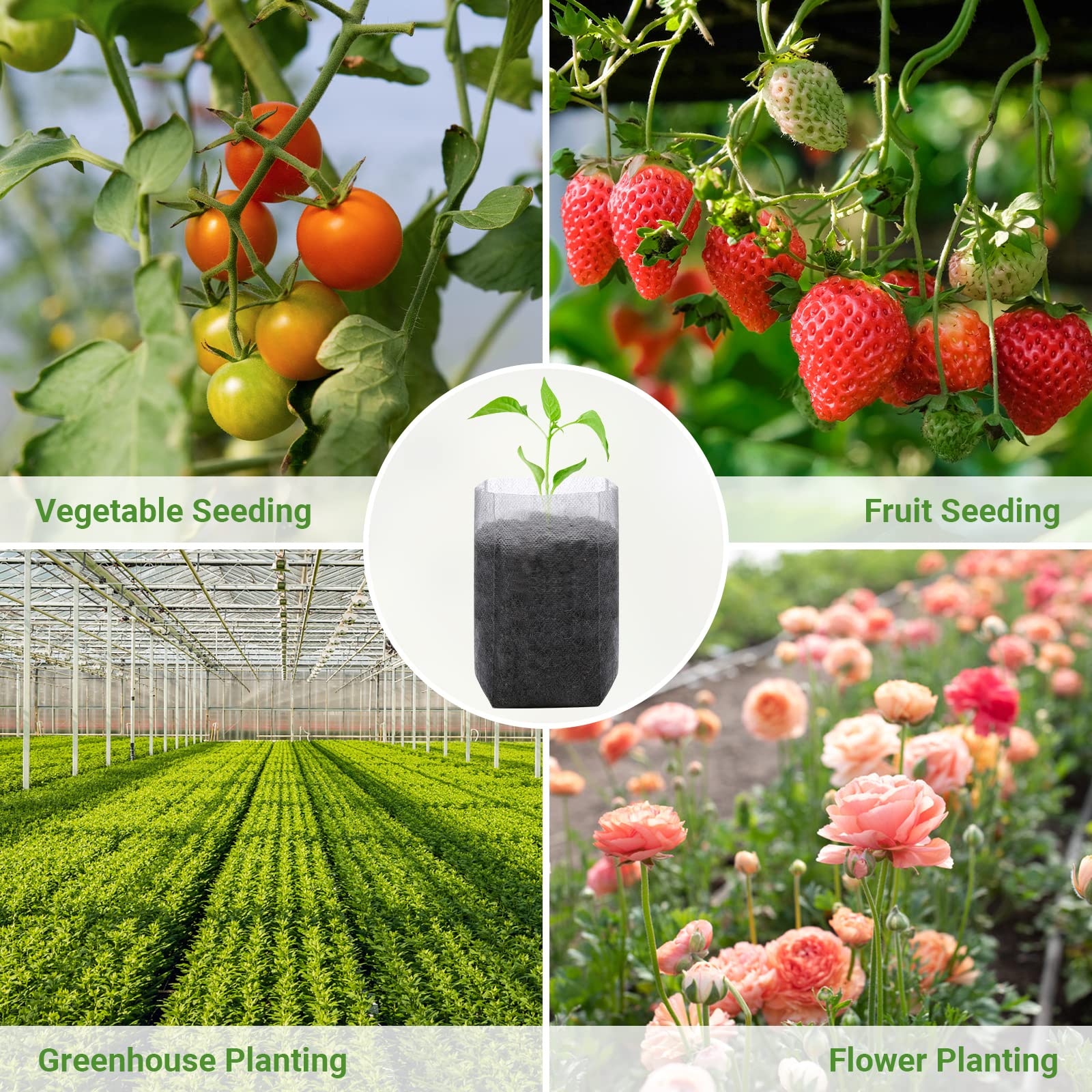 GREANER non-woven seedling bags with breathable material for healthier growth.