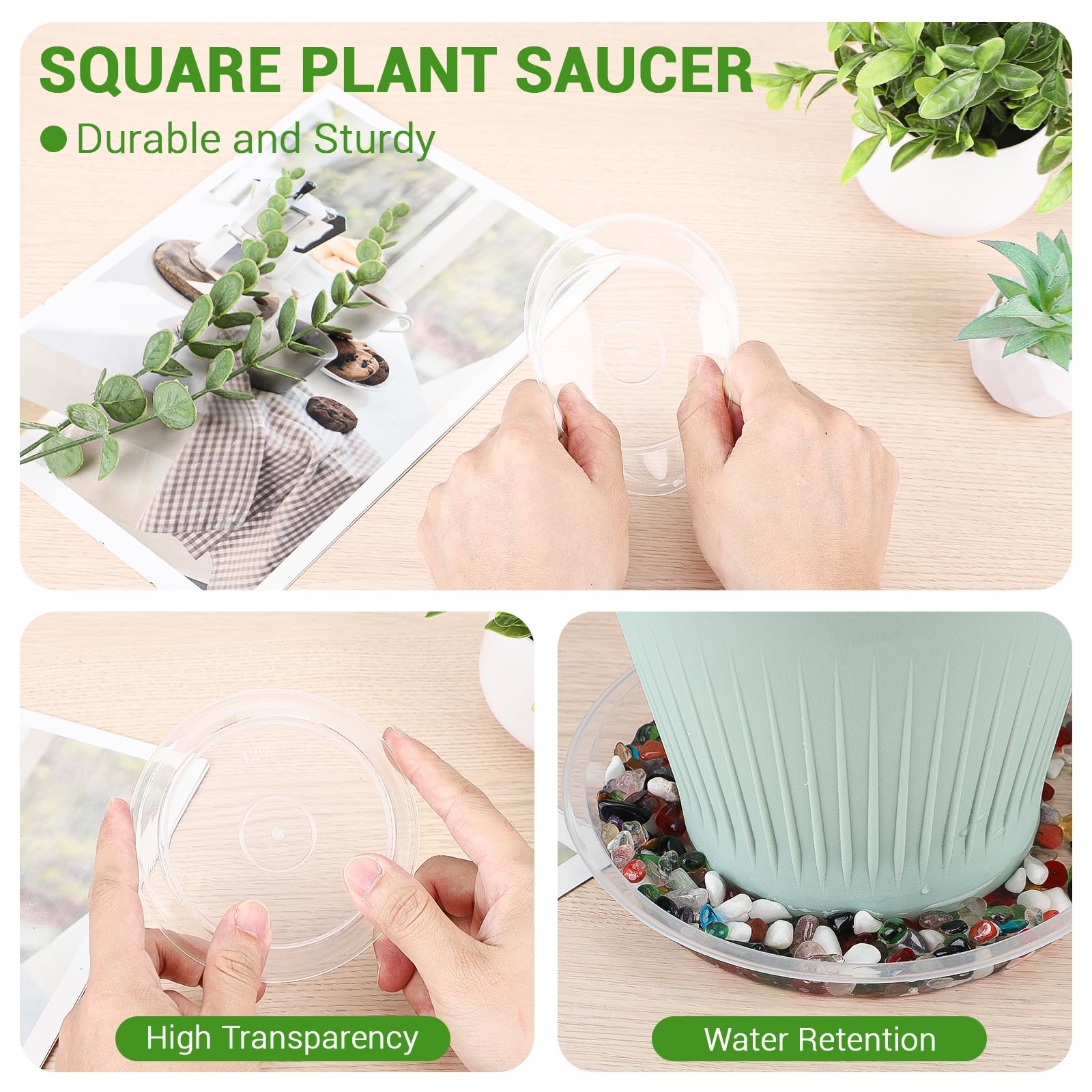 GREANER plant saucer 4-inch clear bottom view shows leak-resistant rim and fit.