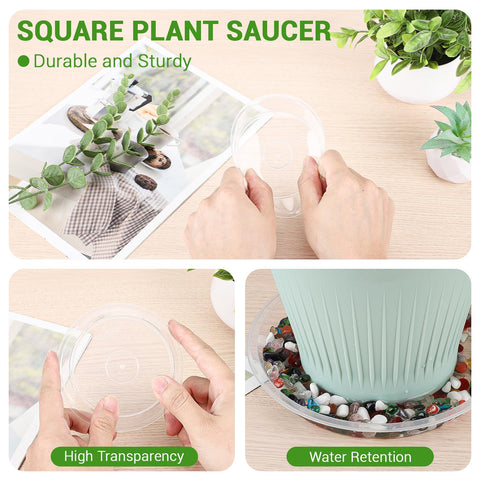 GREANER plant saucer 4-inch clear bottom view shows leak-resistant rim and fit.