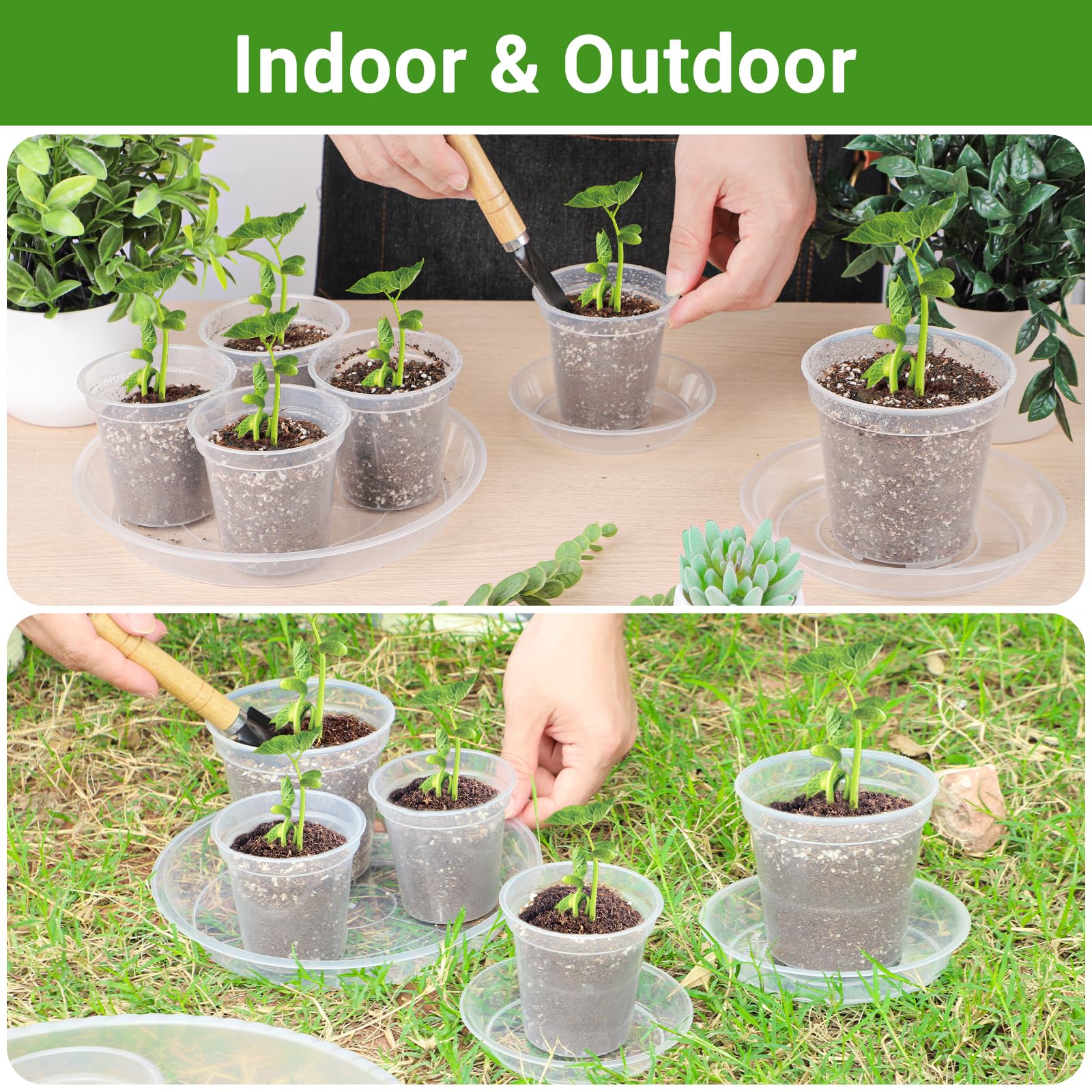 GREANER plant saucer floor protection keeps floors clean from soil and water.