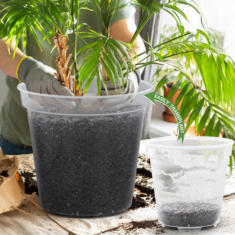 GREANER PP material pots are durable and reusable for multiple uses.