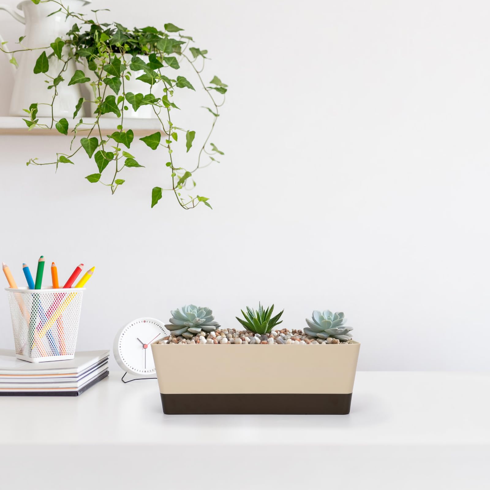 GREANER planter with tiny cactus creates indoor accents