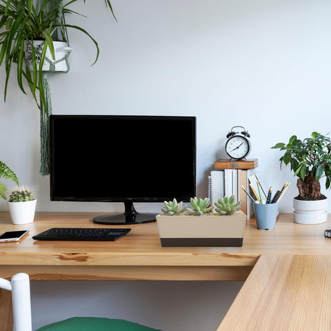 GREANER planter on a desk adds greenery to workspaces