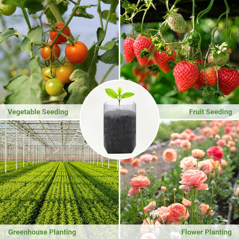 GREANER biodegradable non-woven seedling bags for healthy transplanting.