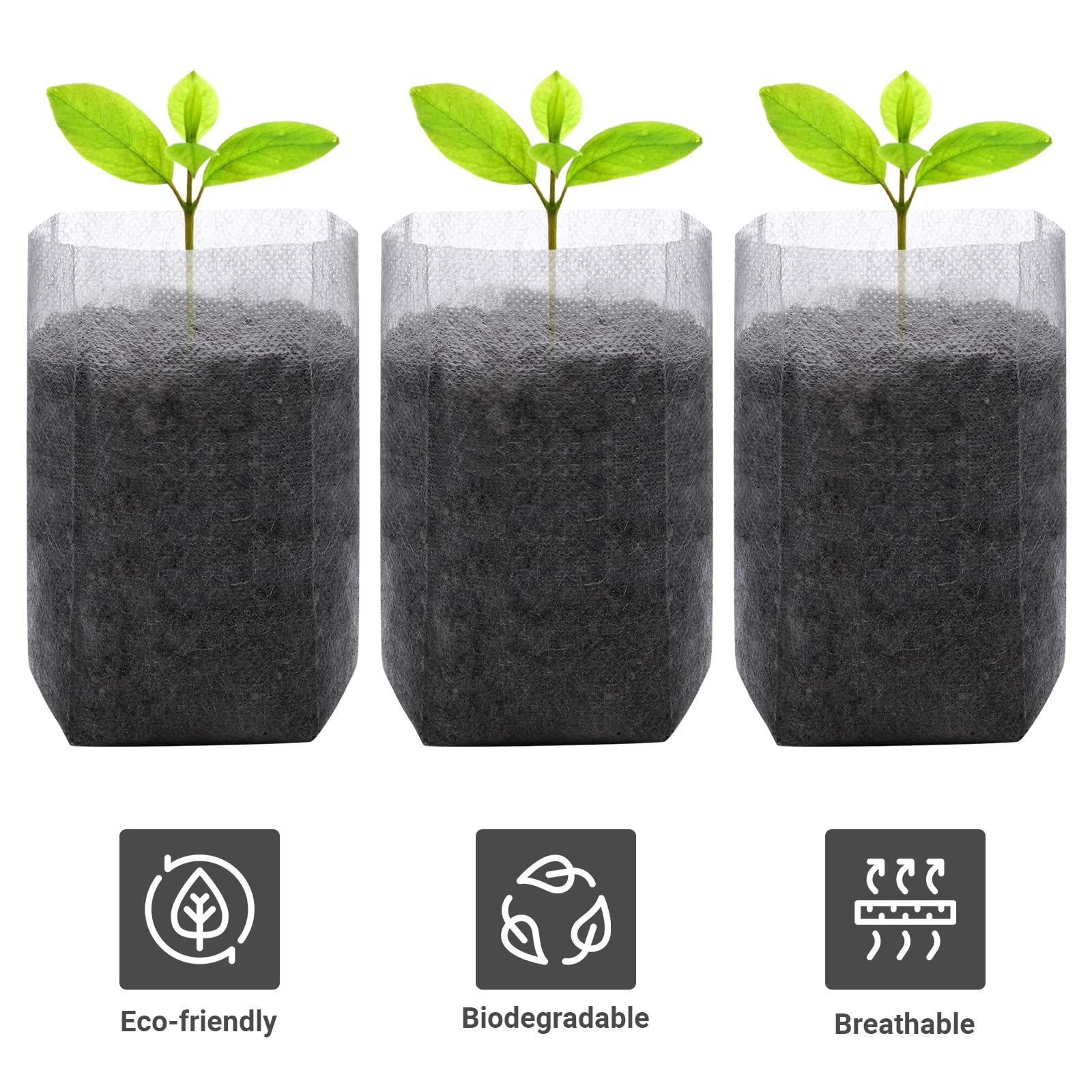 GREANER seedling bags with drainage holes support air flow and moisture balance.