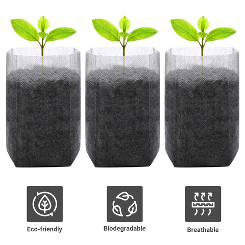 GREANER seedling bags with drainage holes support air flow and moisture balance.
