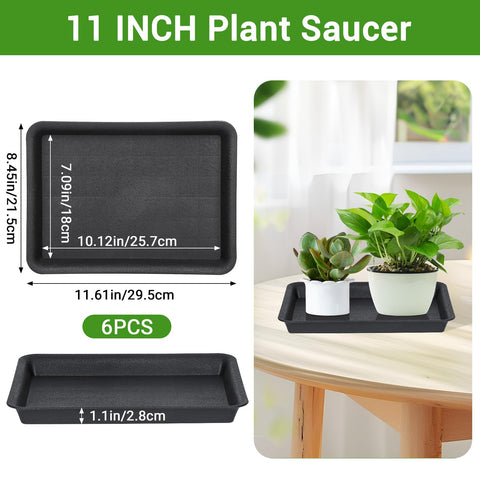 GREANER six-pack plant trays organized for a tidy indoor setup.
