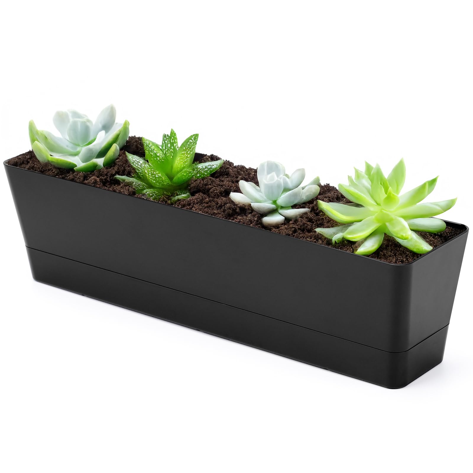 GREANER window box planter 16x3.8 inch for herbs on sunny windowsills