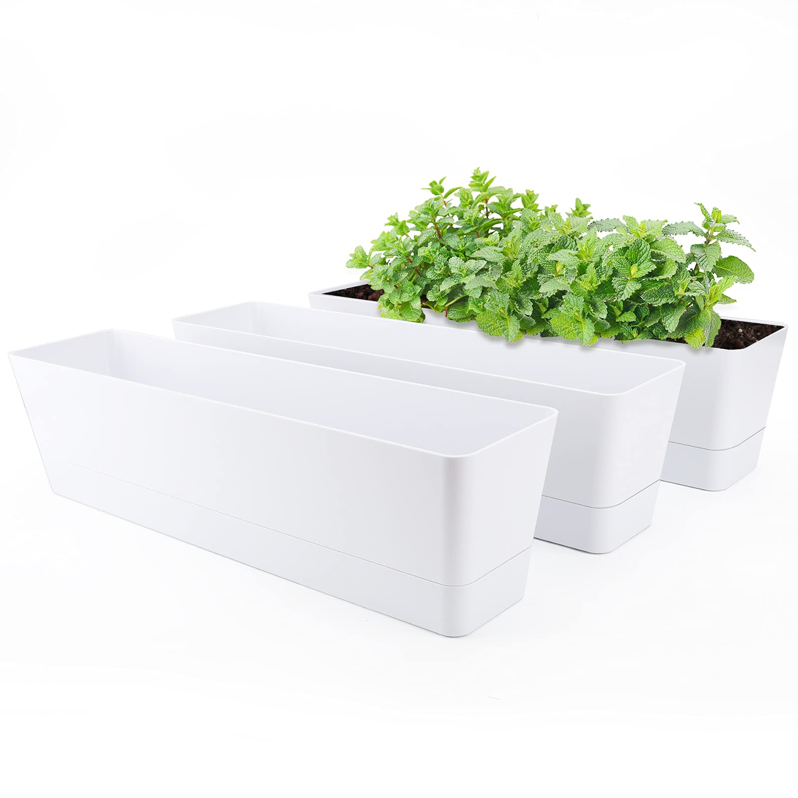 GREANER window boxes planters on a sunny windowsill for herbs