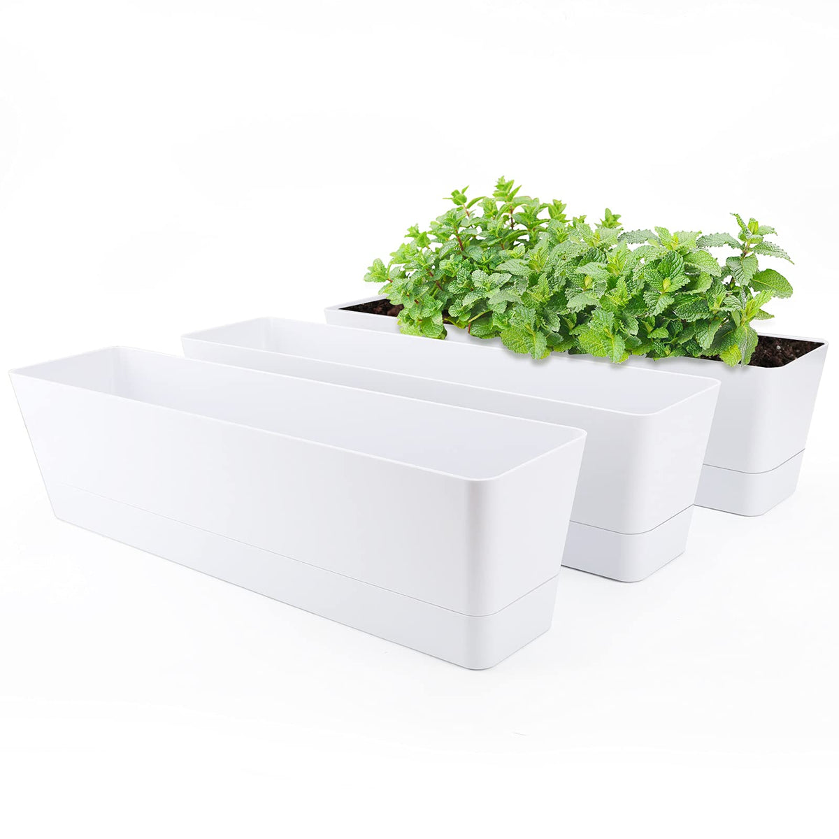 GREANER window boxes planters on a sunny windowsill for herbs