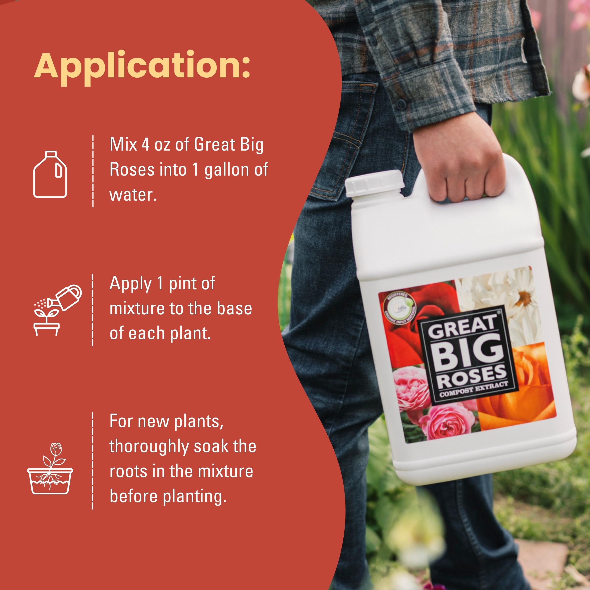 Great Big Plants compost extract rose feed rich in nutrients for vibrant petals.
