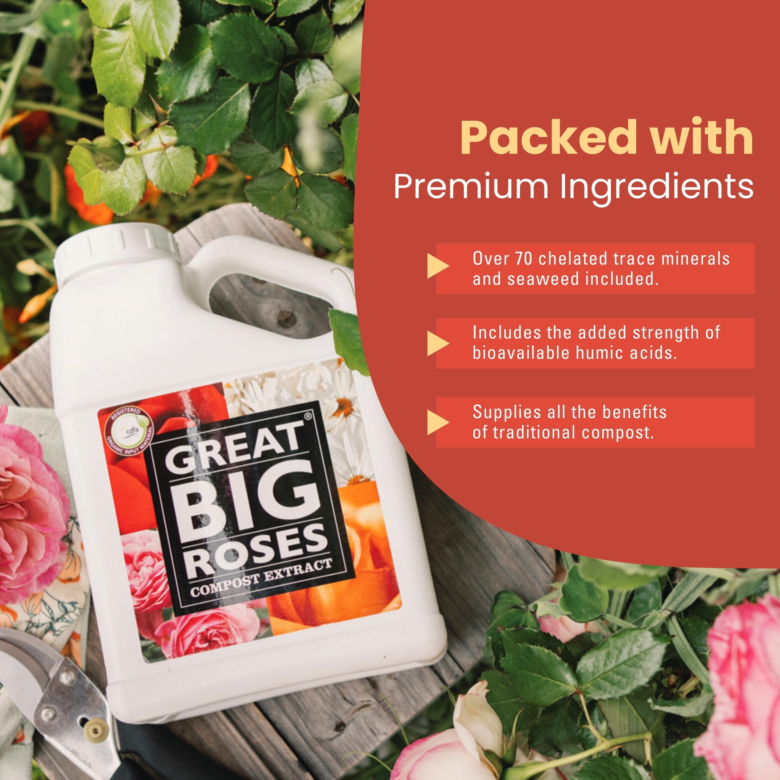 Great Big Plants easy-to-use rose fertilizer mix saves time during watering.