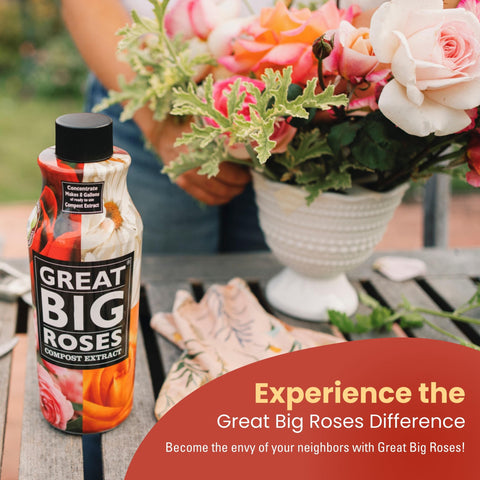 Great Big Plants organic-certified formula supports eco-friendly rose care.