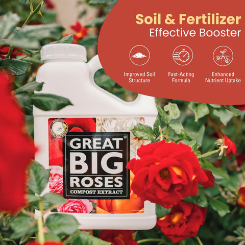 Great Big Plants root-zone delivery activates nutrients at the base of the plant.