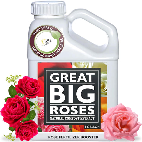 Great Big Plants rose fertilizer booster pour delivers fast root-zone delivery for roses.